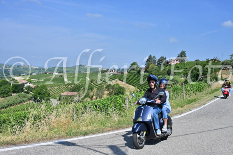 dsc_8495-standard-y6iobj.jpg