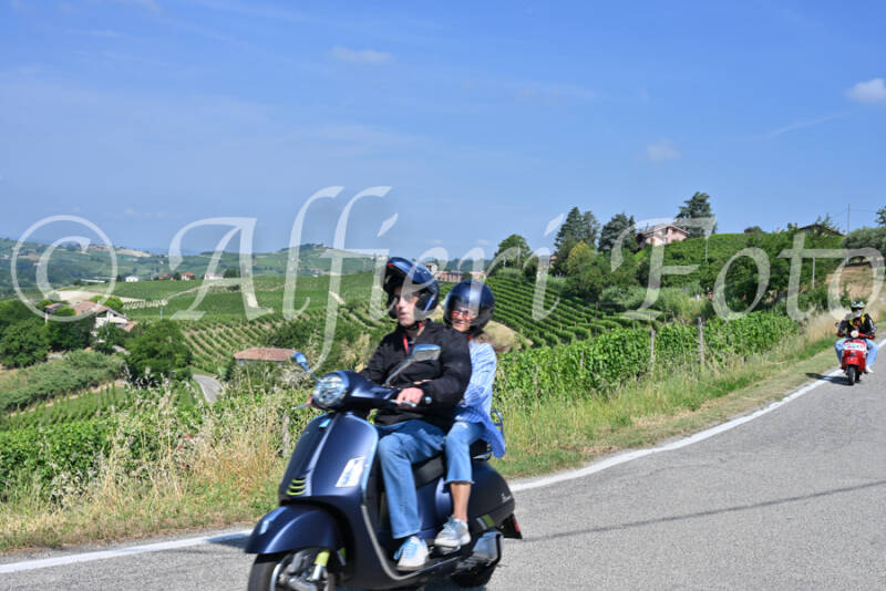 dsc_8496-standard-2ugvcl.jpg