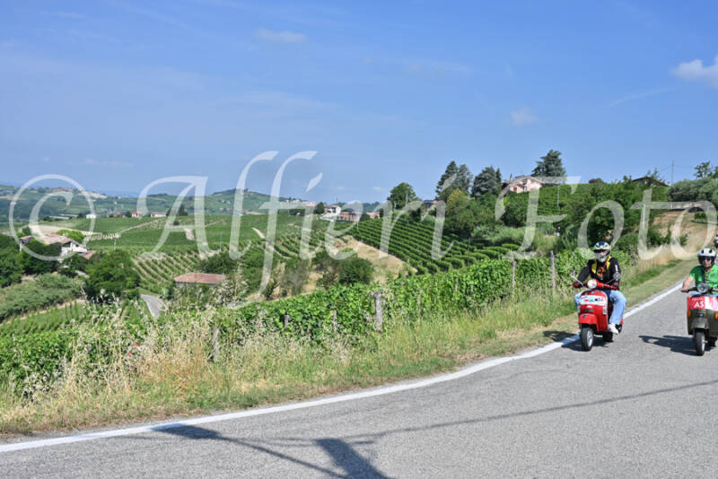 dsc_8498-standard-d2eyxc.jpg