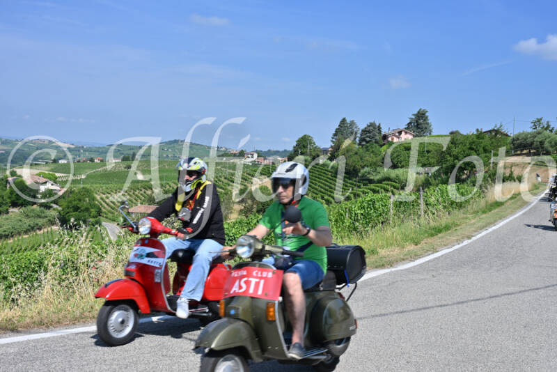 dsc_8501-standard-jnjdh7.jpg