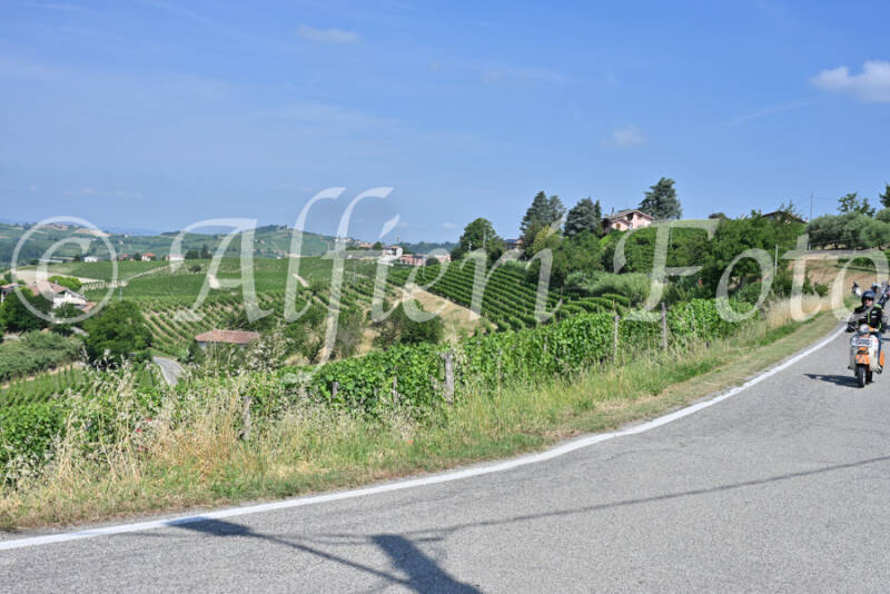 dsc_8502-standard-cv7sff.jpg