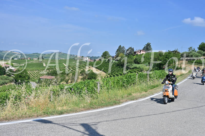 dsc_8505-standard-fzxyuv.jpg