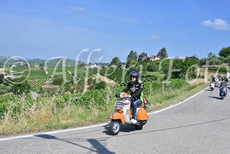 dsc_8507-standard-ztcn8p.jpg