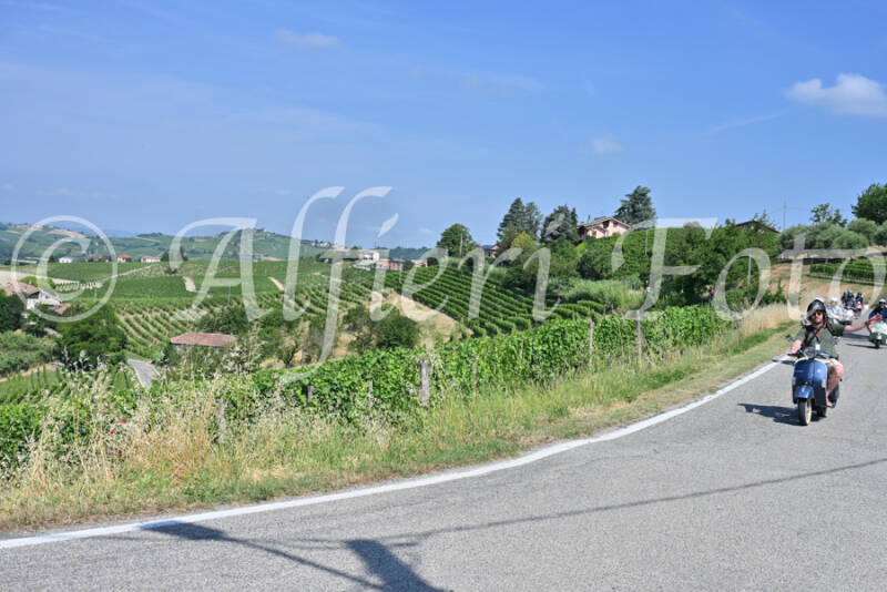 dsc_8509-standard-g8atd8.jpg