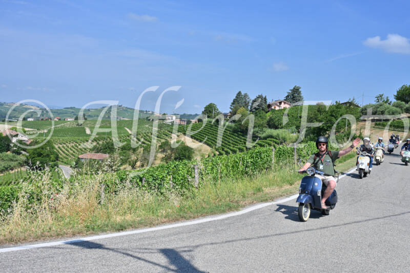 dsc_8511-standard-v9r47b.jpg