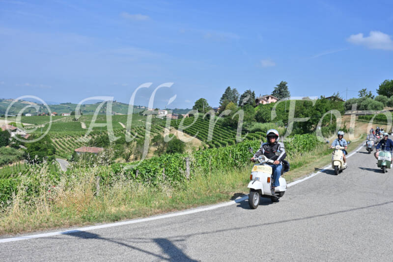 dsc_8515-standard-vs14s1.jpg