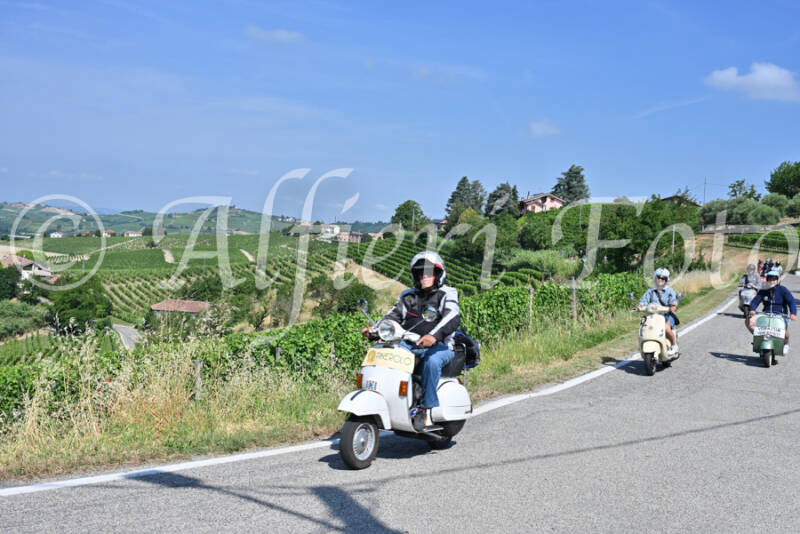 dsc_8516-standard-dbrfxi.jpg