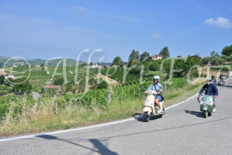dsc_8518-standard-56yigo.jpg