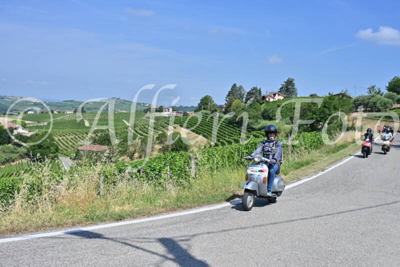 dsc_8524-standard-cbekmb.jpg