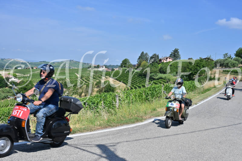 dsc_8529-standard-bgkio5.jpg