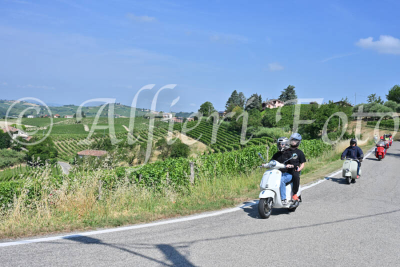 dsc_8534-standard-gs9dlo.jpg