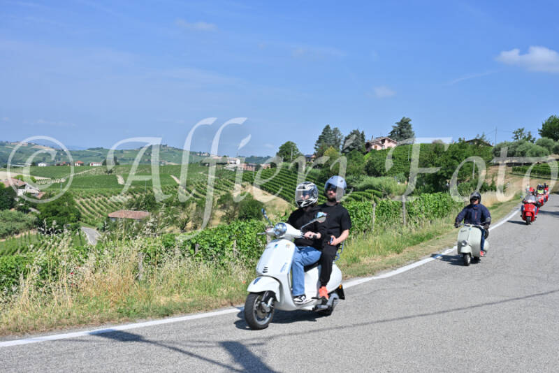 dsc_8535-standard-agiln5.jpg