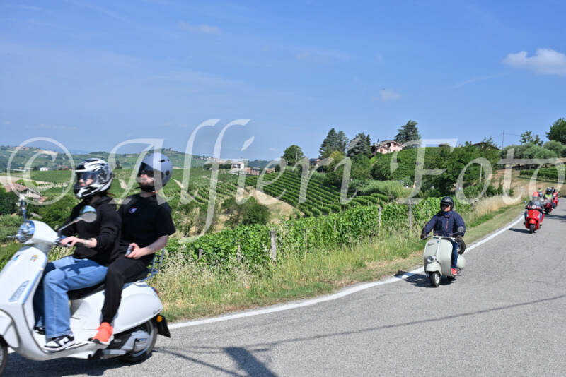 dsc_8536-standard-37cigl.jpg