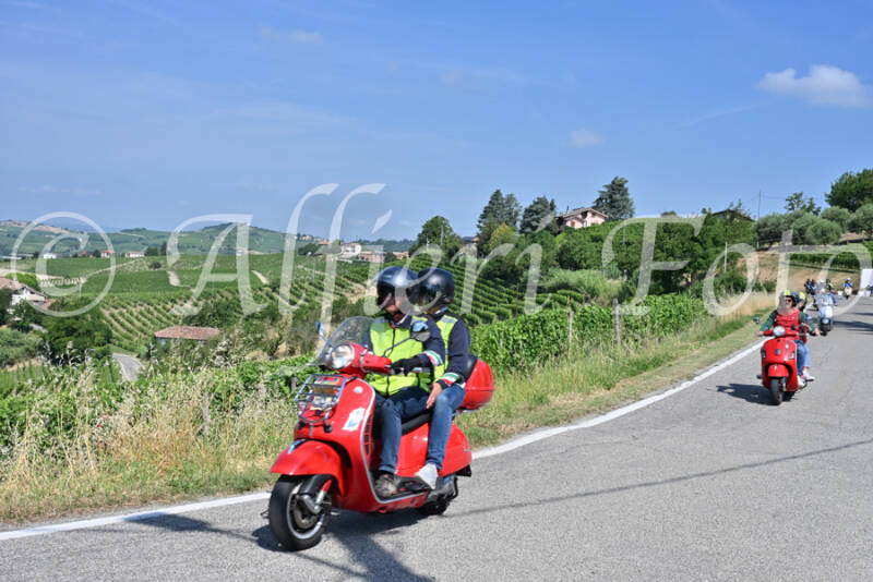 dsc_8545-standard-xaxrbo.jpg