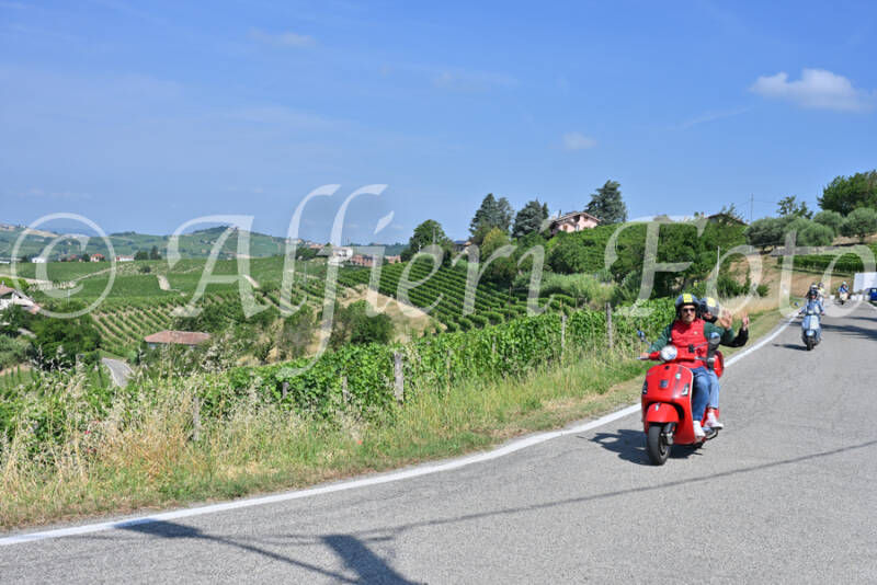 dsc_8547-standard-2rlr4f.jpg