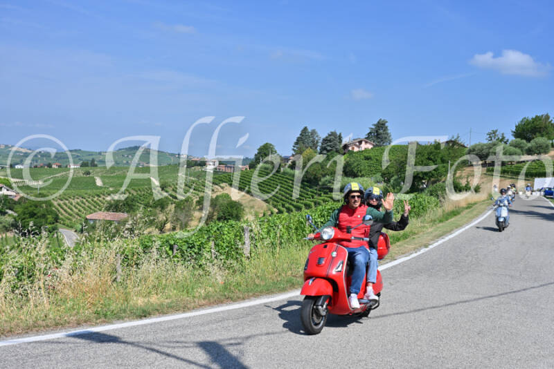 dsc_8548-standard-4cuxv0.jpg