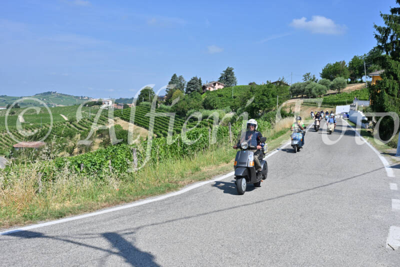 dsc_8555-standard-pr1jke.jpg