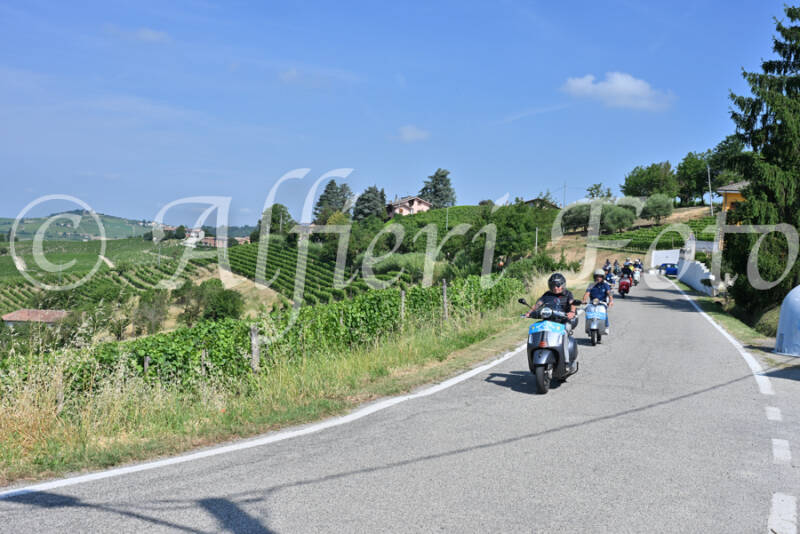 dsc_8569-standard-9lnpz0.jpg