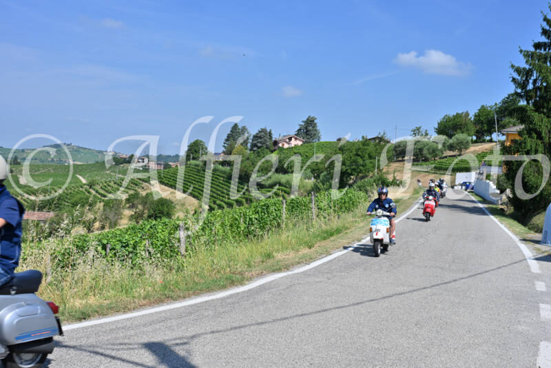 dsc_8574-standard-uip0vw.jpg