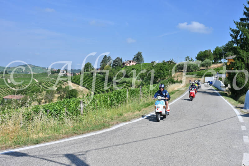 dsc_8575-standard-cbpysx.jpg