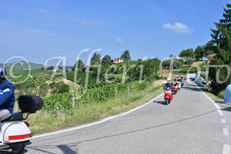 dsc_8577-standard-dnzzqj.jpg
