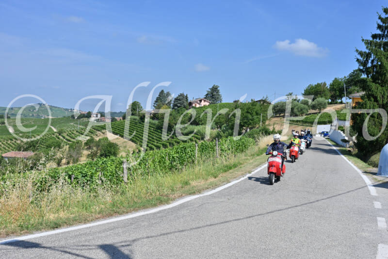 dsc_8578-standard-l6y8xu.jpg