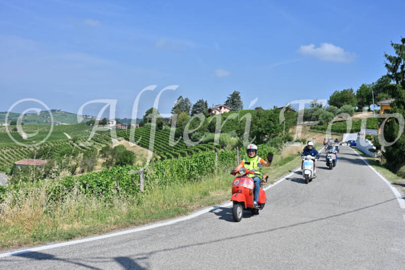 dsc_8583-standard-2eu91a.jpg