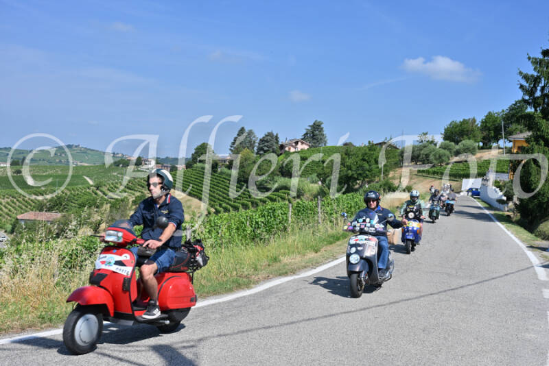 dsc_8591-standard-9zjufy.jpg