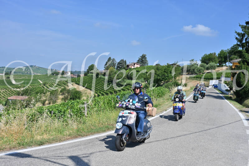 dsc_8593-standard-3ennx7.jpg