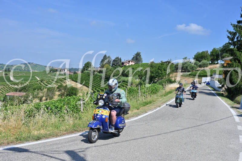 dsc_8596-standard-ci174n.jpg