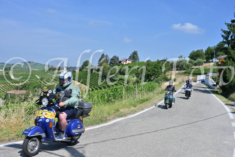dsc_8597-standard-x6wiiw.jpg