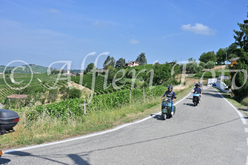 dsc_8598-standard-gnjarx.jpg