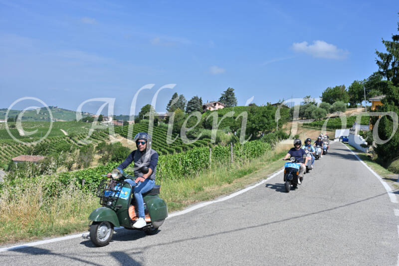 dsc_8600-standard-v1j6c7.jpg