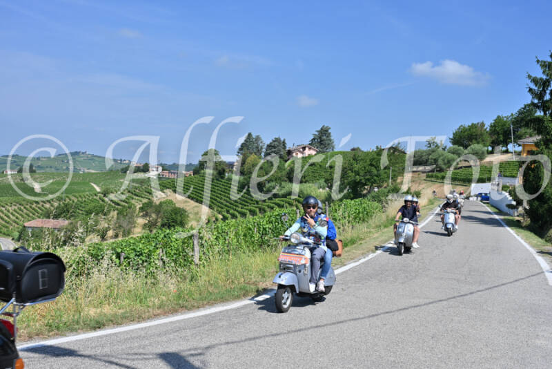 dsc_8606-standard-6fpzsr.jpg