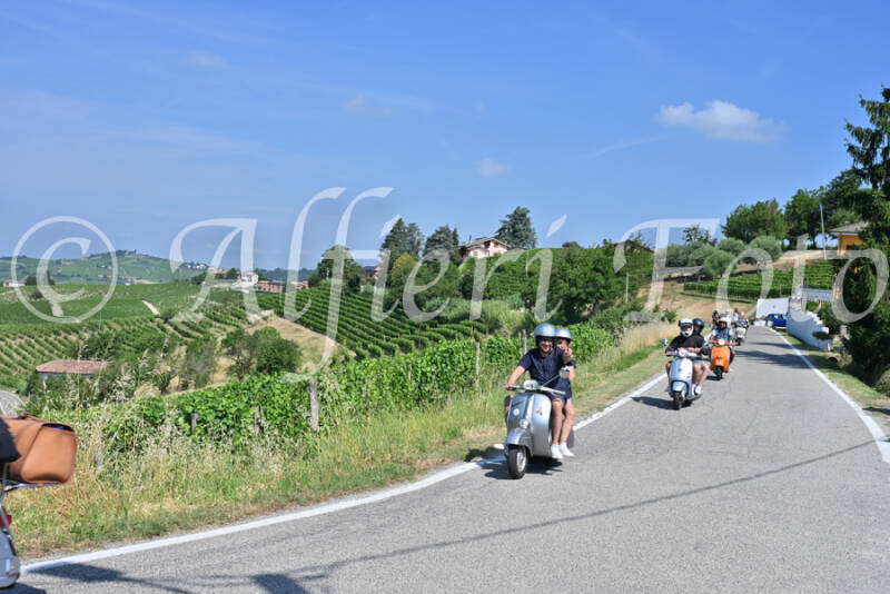 dsc_8609-standard-5mq9mb.jpg