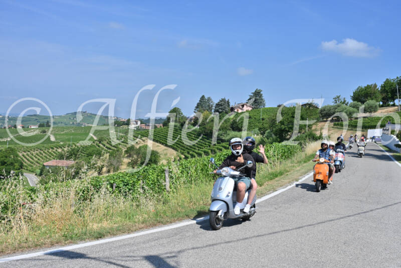 dsc_8614-standard-vmfglx.jpg
