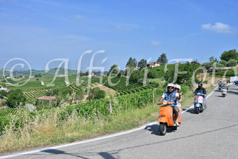 dsc_8616-standard-qxvndu.jpg