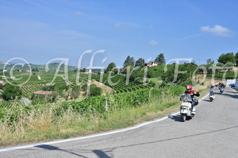 dsc_8621-standard-j2mguq.jpg