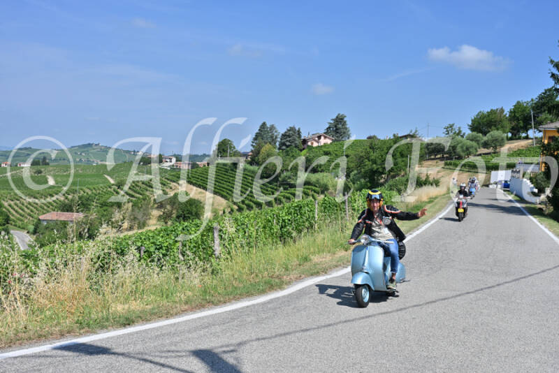 dsc_8630-standard-sodqs8.jpg