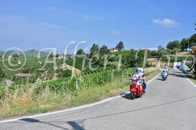 dsc_8638-standard-uaf5dk.jpg