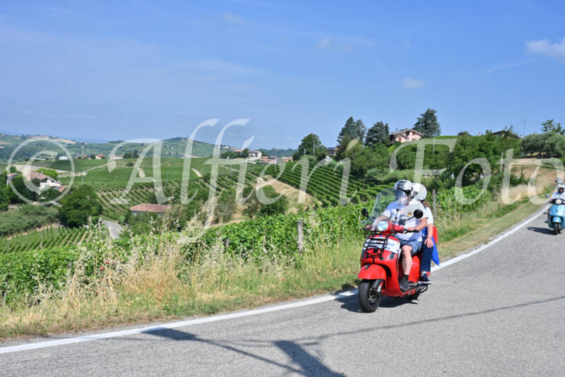 dsc_8639-standard-1rputb.jpg