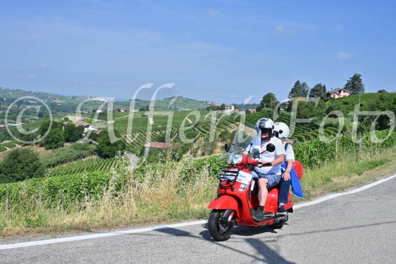 dsc_8640-standard-ci55cg.jpg