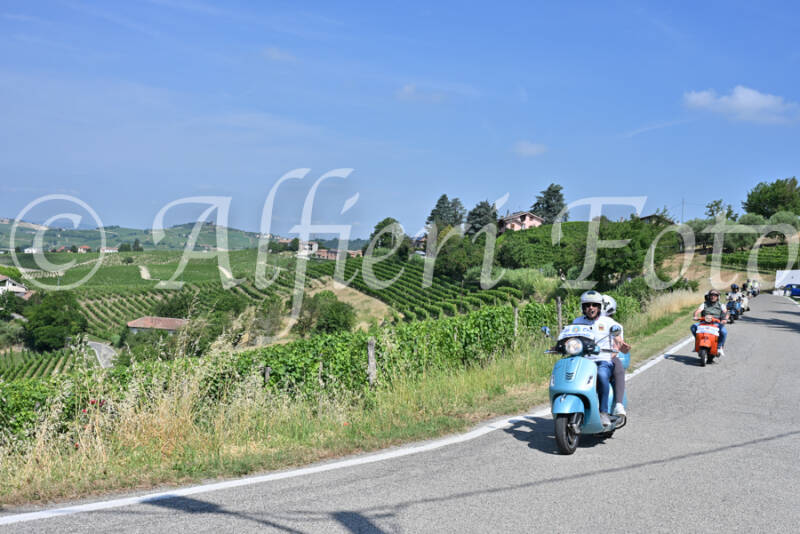 dsc_8642-standard-xnf34f.jpg