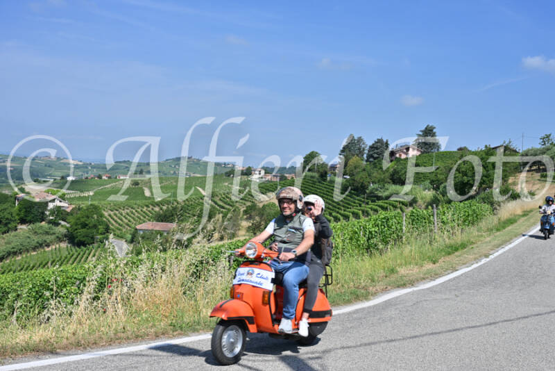 dsc_8647-standard-m1o3hf.jpg