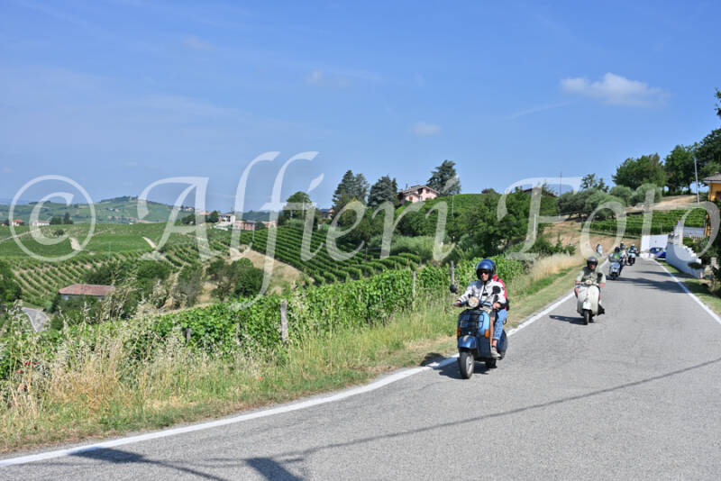 dsc_8649-standard-zo9j2l.jpg