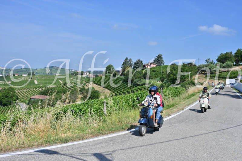 dsc_8650-standard-avuswb.jpg