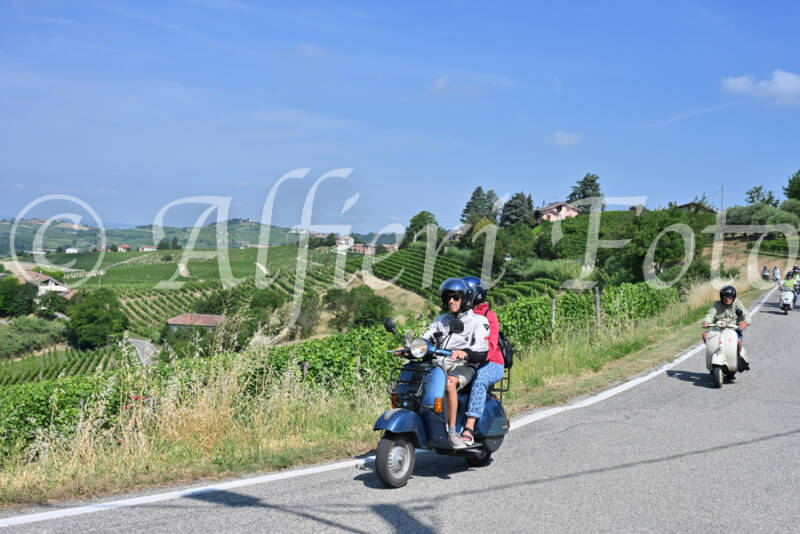 dsc_8651-standard-2trilu.jpg