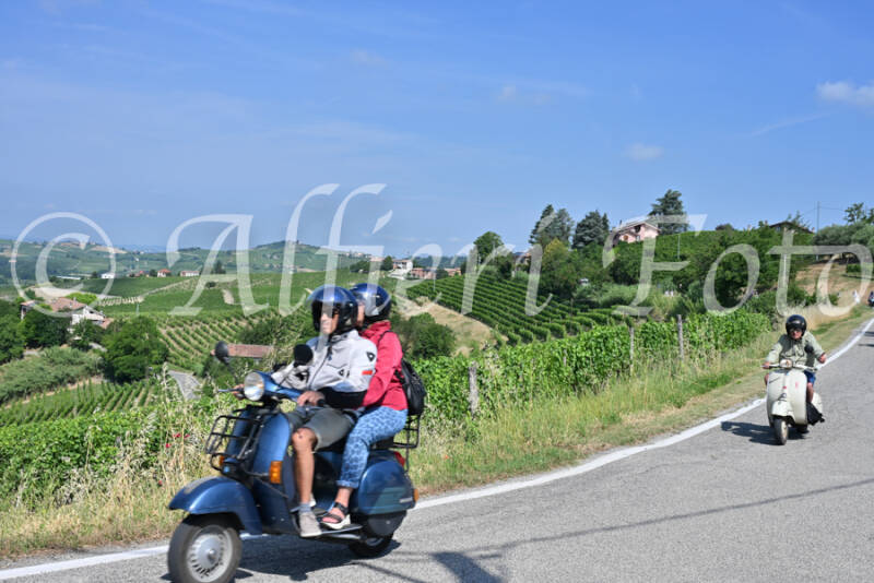 dsc_8652-standard-148p2t.jpg