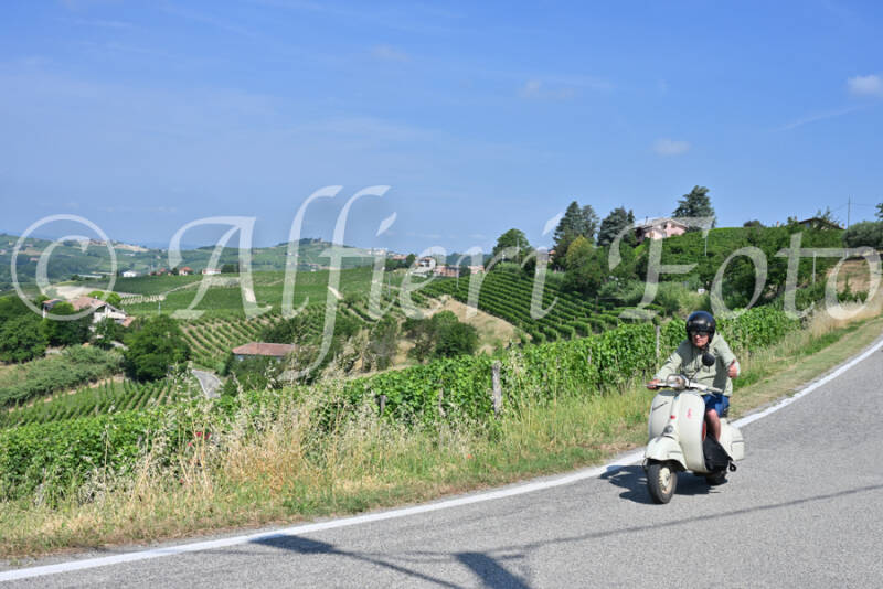dsc_8653-standard-0hxxsd.jpg