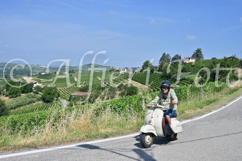dsc_8654-standard-vs0ihv.jpg